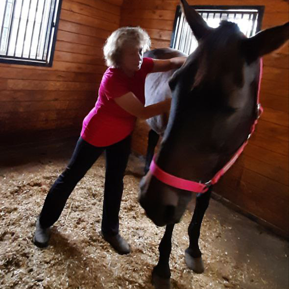 Equine Myofascial Release