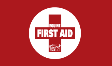 First Aid Kit
