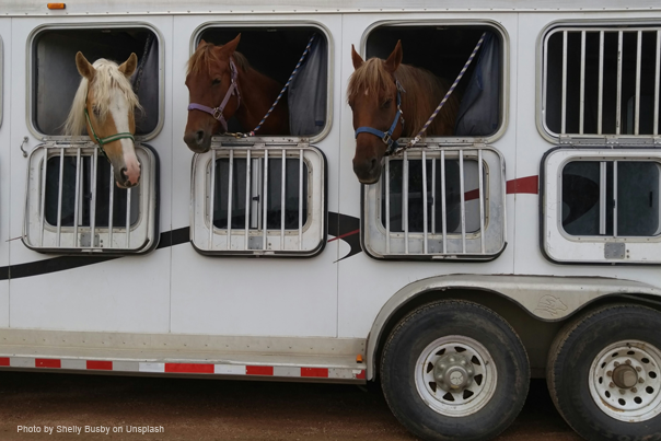 horse trailer