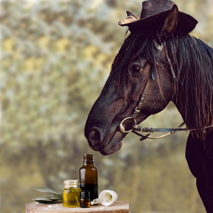 Horse and Essential Oil